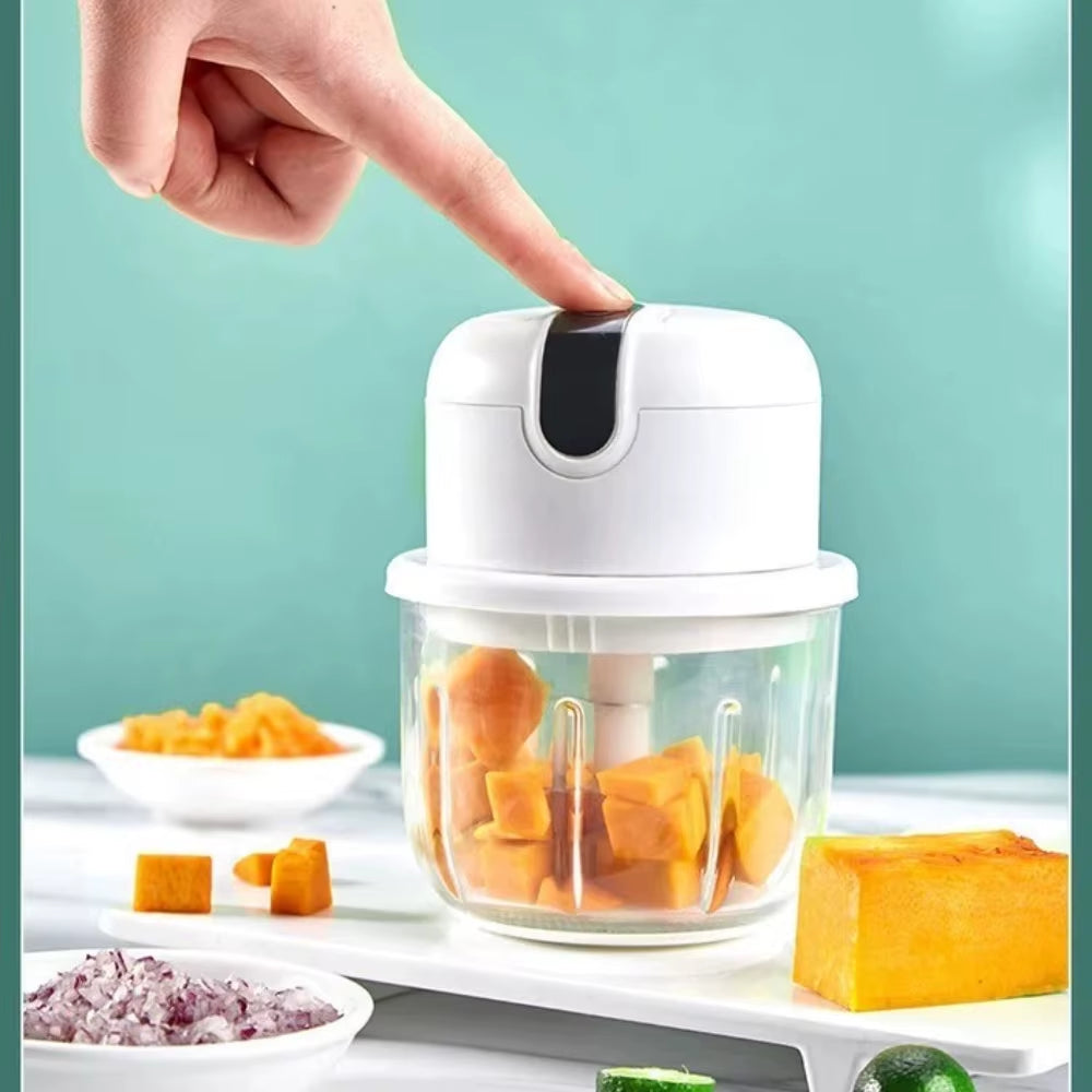 Multi-Function Meat and Vegetable Chopper/ Grinder  